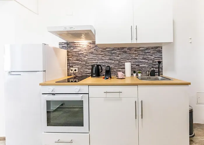 Appartement Premium With Free Garage Parking Included! Close To Metro U2 And Congress Center! Vienne